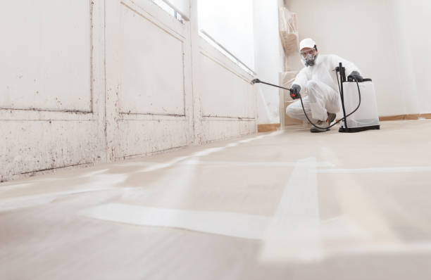 24/7 Emergency Attic Mold Remediation experts in Burnham, IL